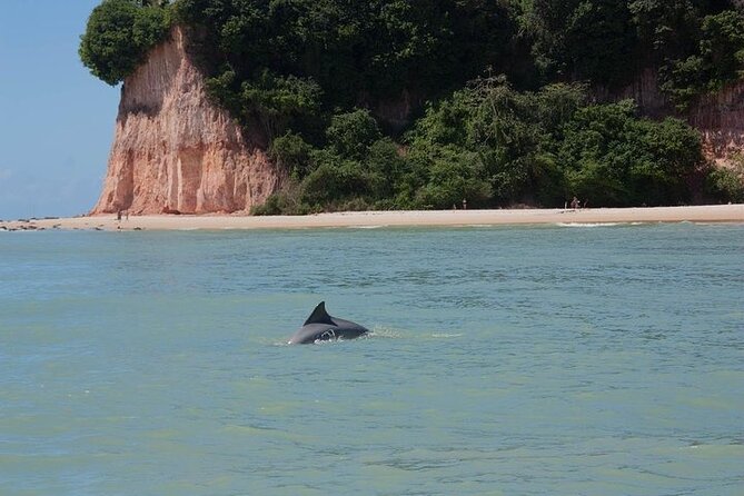 1 Day Beach Tour of Pipa-RN - From Natal-RN - Why Pipa can justify the effort