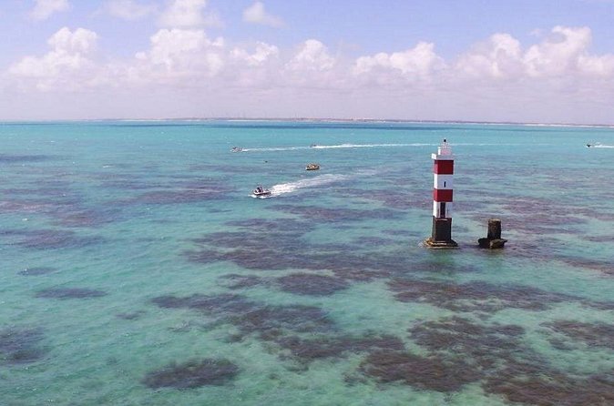 1-day diving tour in Perobas/RN - Leaving from Natal - Why the local setting matters