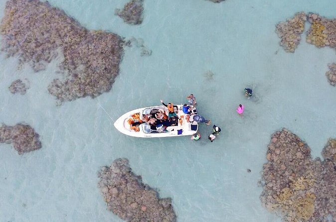 1-day diving tour in Perobas/RN - Leaving from Natal - Weather, cancellations, and smart booking