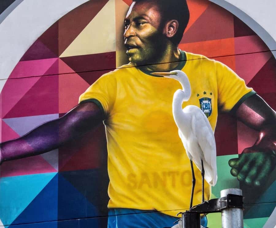 10-hour beach tour Santos: Shared with Tickets & Lunch - Pelé Museum and the story of a national icon