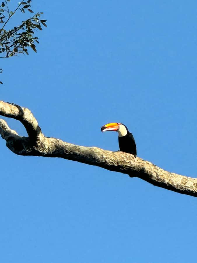 2-Days Private Tour Brasil & Argentina Iguassu Falls - The boat ride: an optional dose of water and noise