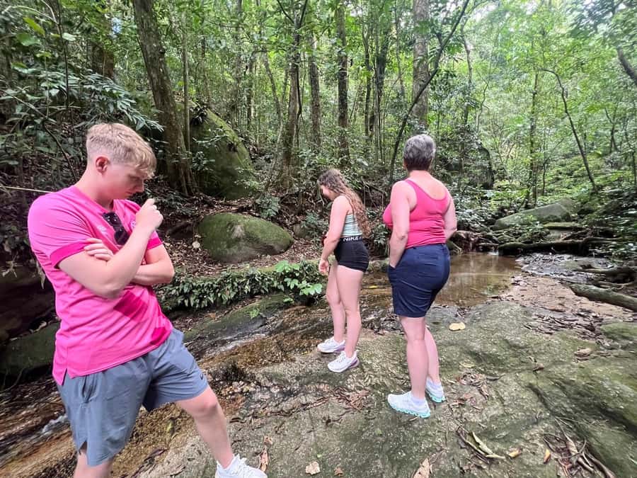 2 Days Private Tour in Rio de Janeiro - Practical advice for a smoother two days