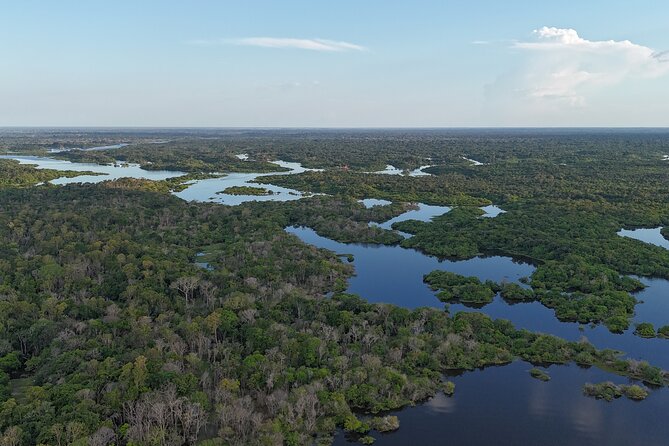 3 Day Amazon Jungle Adventure Wildlife Culture and Pink Dolphins - Sunrise on the Rio Negro and an Indigenous visit