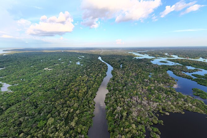 3 Day Amazon Jungle Adventure Wildlife Culture and Pink Dolphins - Tupe Beach and Janauary’s giant water lilies