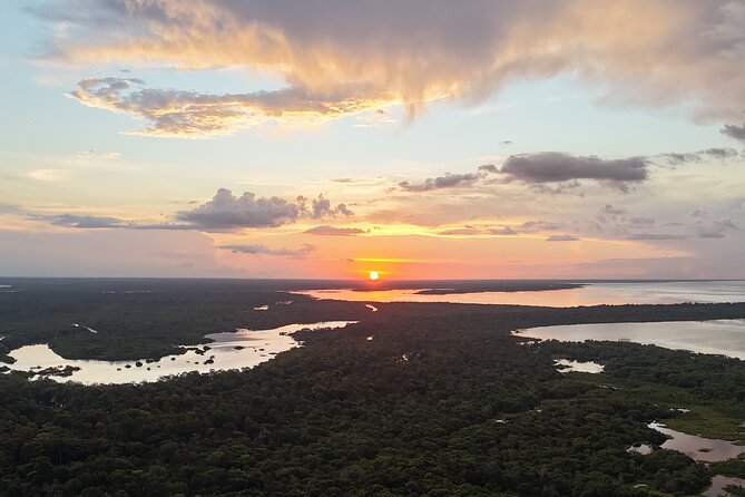 3 Day Amazon Jungle Adventure Wildlife Culture and Pink Dolphins - Floating homes and the enormous pirarucu