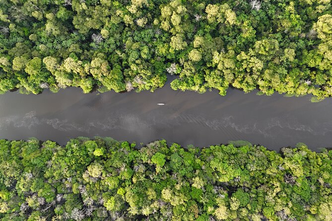 3 Day Amazon Jungle Adventure Wildlife Culture and Pink Dolphins - The Meeting of the Waters and the trip back to Manaus