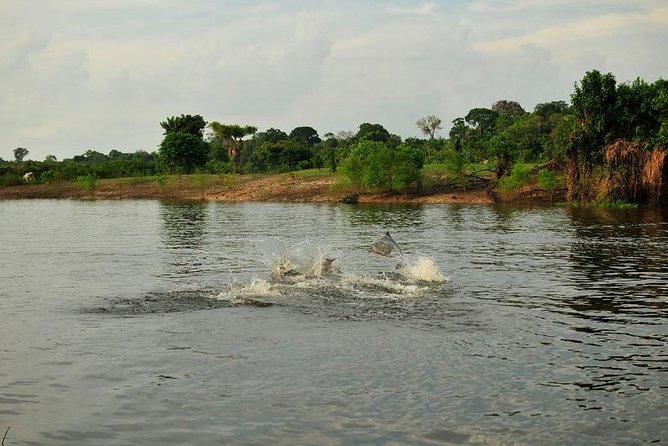 3-Day Manaus Amazon Jungle Adventure - The Amazon experience in six useful points