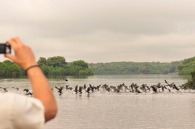 3-Day Manaus Amazon Jungle Adventure - Day one: piranha fishing and pink dolphins