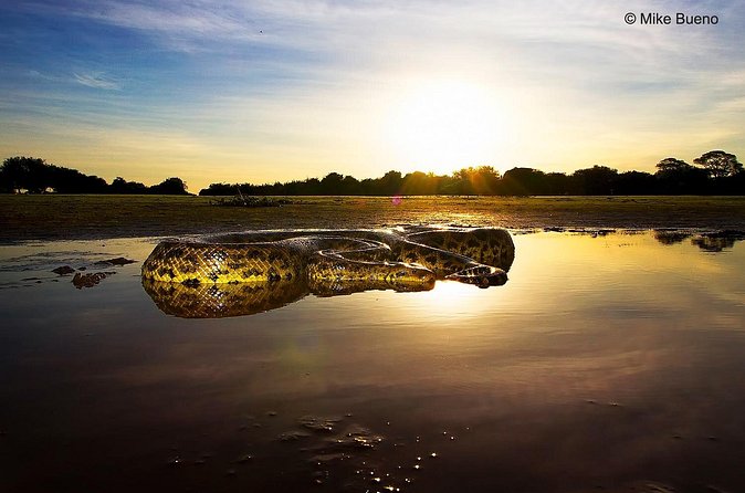 3-day Pantanal Wildlife Tour with accommodation- Departing from Cuiaba - What the $2,548.38 price really buys