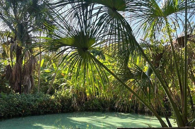 3-Day Tour to the Natural Paradise of Jalapão - The Private 4x4 Format and Guide Support