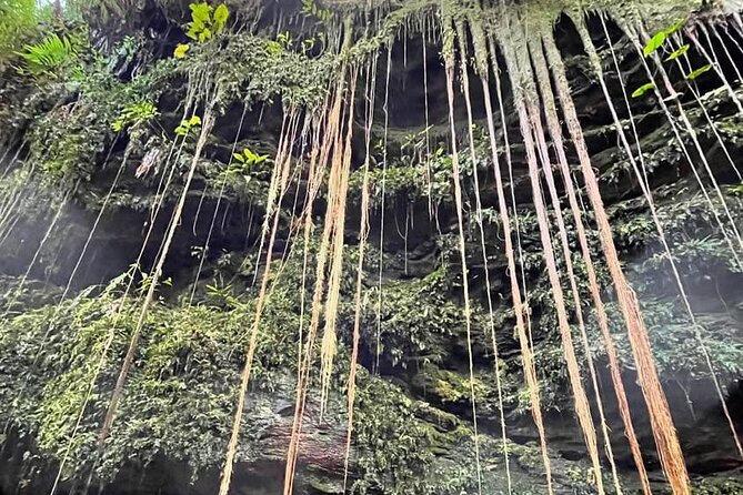 3-Day Tour to the Natural Paradise of Jalapão - Meals, Palmas Pickup, and What to Pack