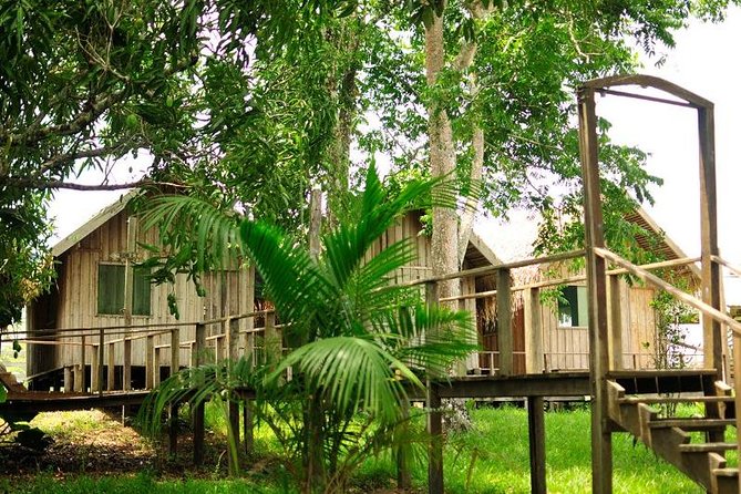 4-Day Manaus Amazon Jungle Adventure - What the $571 Price Really Covers