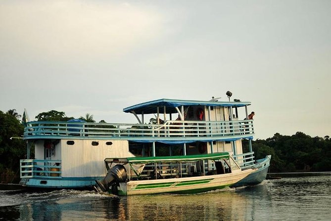 4-Day Manaus Amazon Jungle Adventure - The Guide, Group Size, and Language Issue