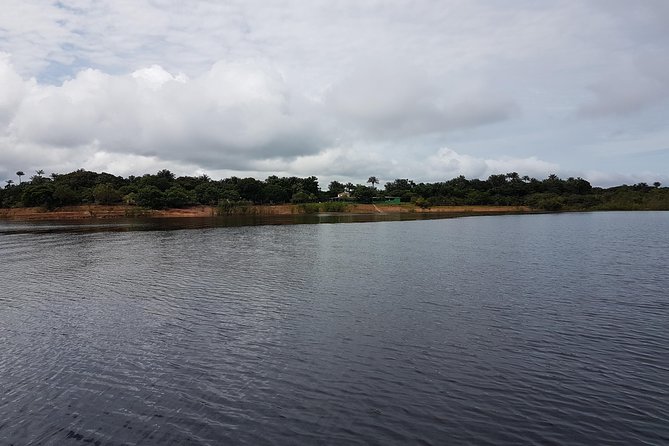 4 Days Amazon Jungle Adventure Tour - Reaching the lodge from Manaus
