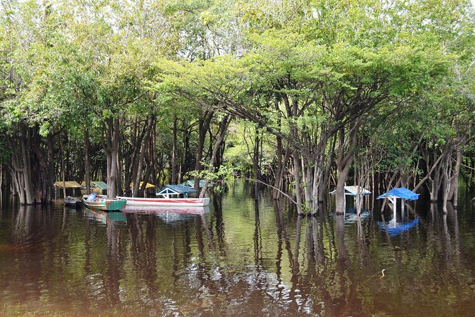 4 Days Amazon Jungle Adventure Tour - Day One: piranhas and caimans after lunch