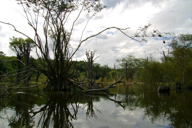 4-Days Unique Experience at Amazon Lodge, immersion on a Jungle Adventure - Why four days can work for an Amazon trip