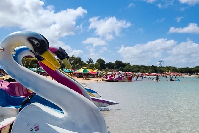 4x4 tour on the South Coast of Natal - Barra de Tabatinga: dolphins are possible, not promised