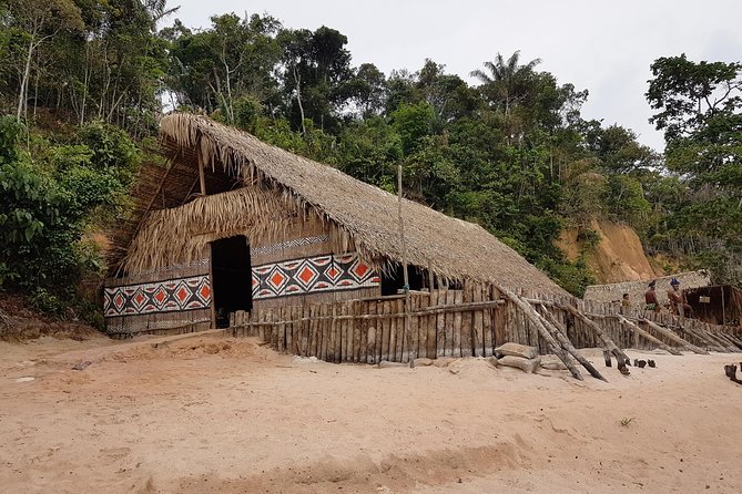 5 Days Amazon Jungle Adventure Tour - Day Five: A final walk and a Rio Negro swim