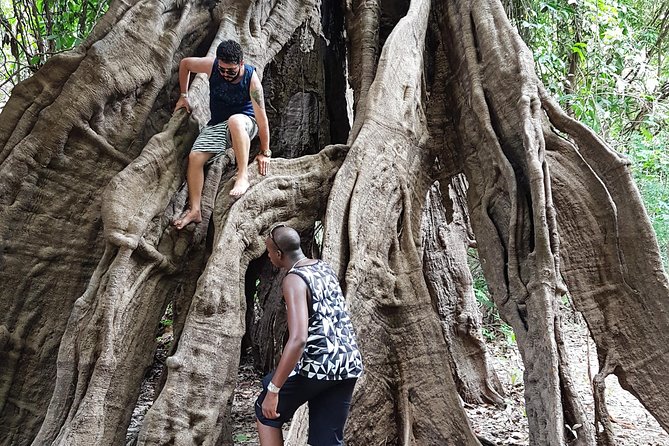 5 Days Amazon Jungle Adventure Tour - Is $700 a fair price?