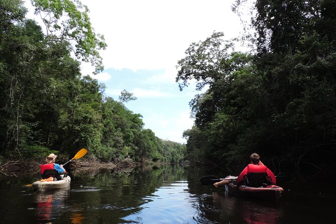 6-Day Guided Kayak Expedition in the Amazon - Day 4: The longest paddle and a local connection