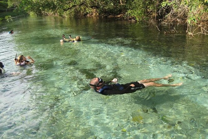 6-Day Pantanal & Bonito Experience - Why combine the Pantanal with Bonito?