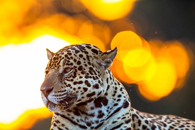 6 Days Pantanal and Jaguar Safari departing from Cuiaba - What the $4,532.25 price includes