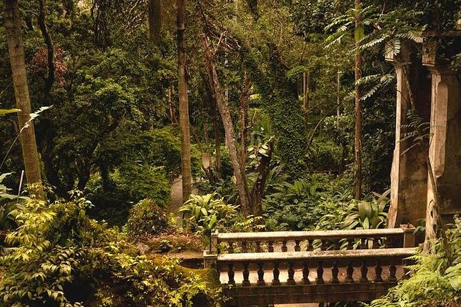 6-Hour Private Guided Tour in Rio de Janeiro - Cinelandia and the older center of Rio