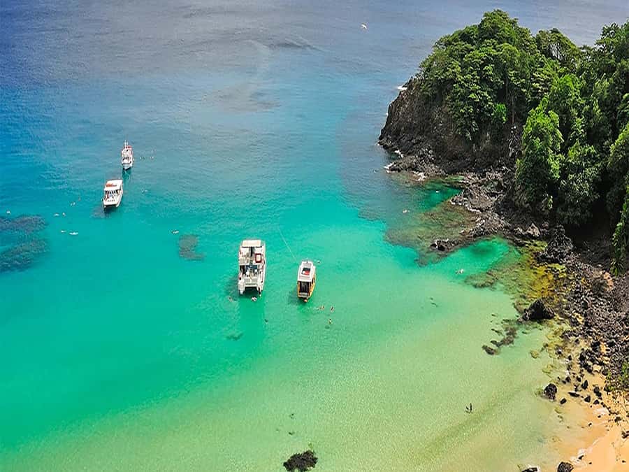 7-Hour Island Adventure: Fernando de Noronha Ilhatour - Why this tour works well for a first day