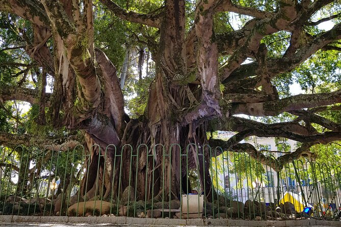 A walk through the center of Floripa - Starting at Largo da Alfândega