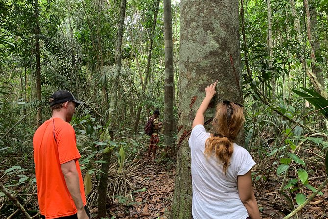 A Whole Day in the Jungle - Key points to know before booking