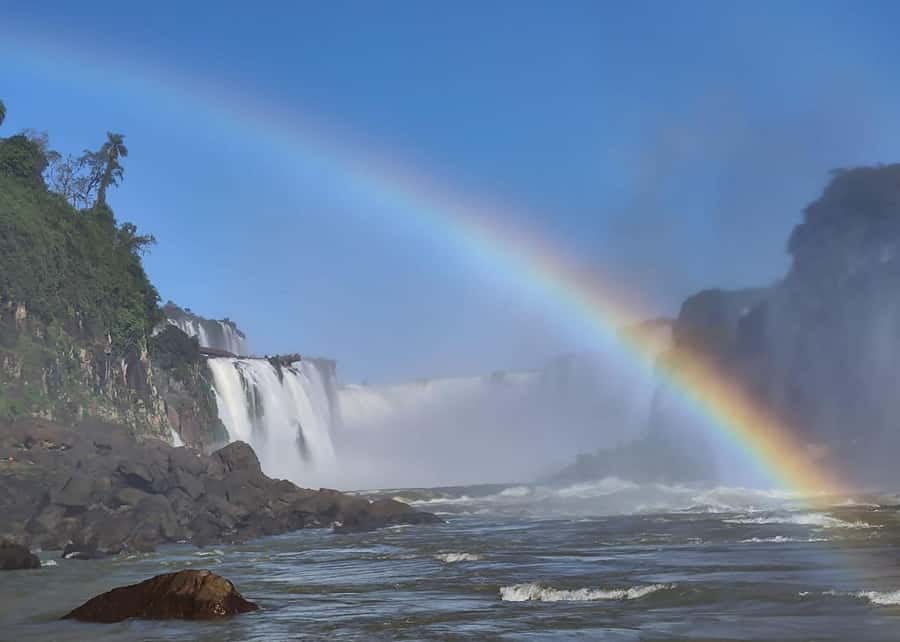 Adventure at Iguazu Falls: Safari, Bird Park, and Waterfalls - Macuco Safari begins in the Atlantic Forest