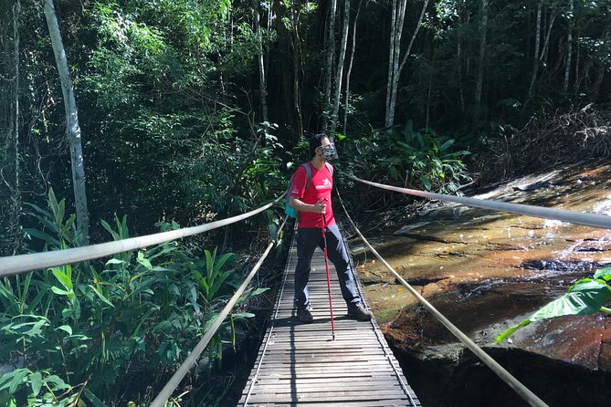 Adventure & History at Tijuca Forest (small group or private) - Cascatinha Taunay: the first major forest stop
