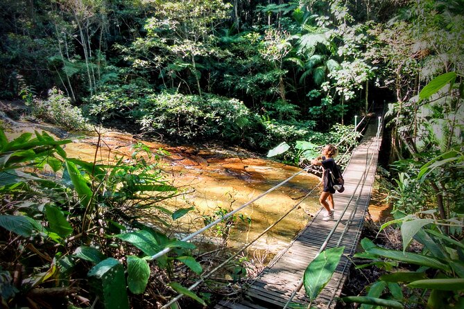 Adventure & History at Tijuca Forest (small group or private) - Starting at 8:00 a.m. with a small group