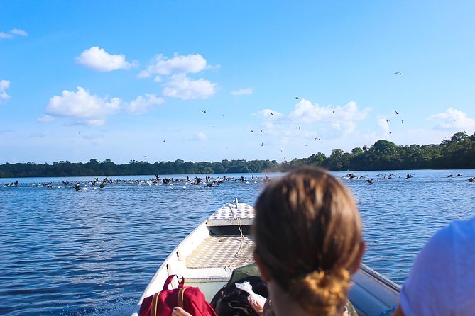 Adventure in the Amazon5D/4N At Amazon Peacock Paradise Ecolodge - What life at Amazon Peacock Paradise Ecolodge is really like