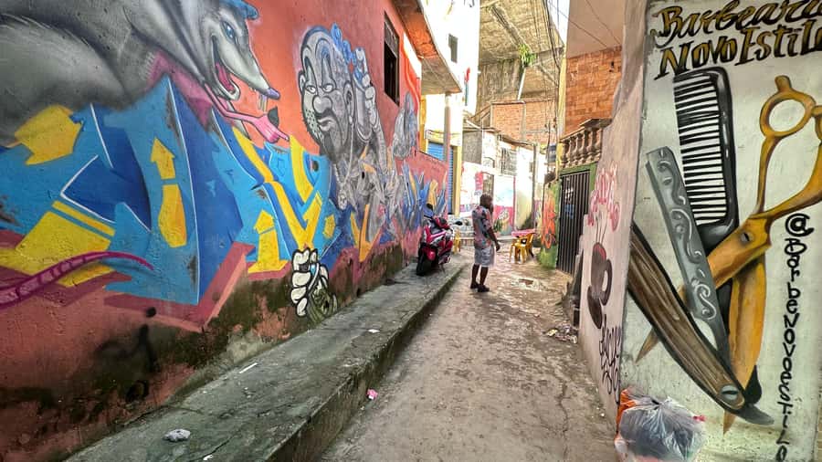 Afro-Brazilian Roots Private City Tour in Salvador - Comfort, timing, and practical value