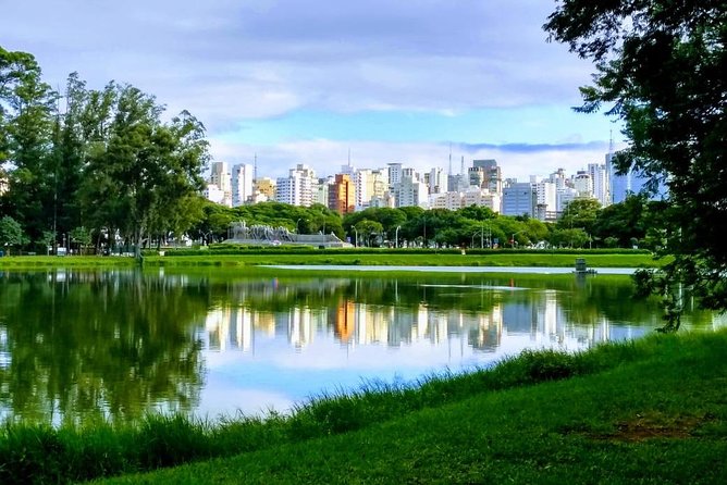 Amazing São Paulo overview in 4 or 5 hours with a private guide - Why this private tour works well in São Paulo