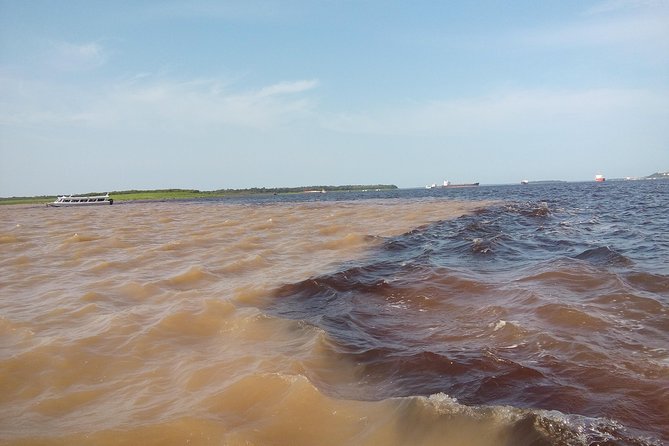Amazon Adventure Trip 4D/3N at Tapiri Anavilhanas Lodge - Swimming near pink river dolphins