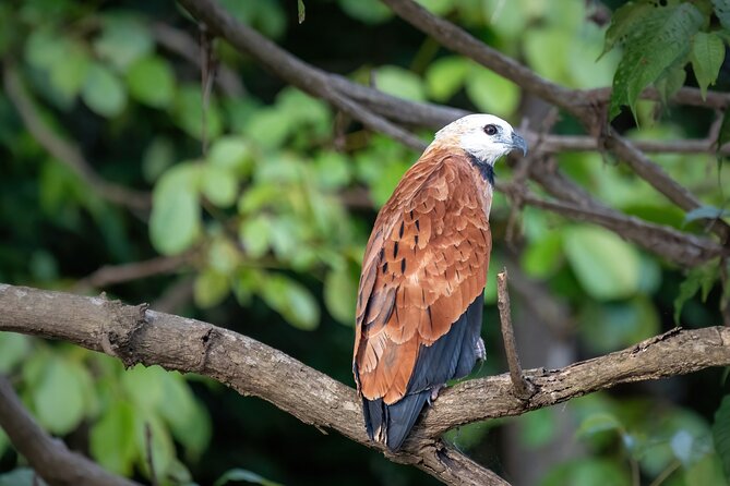 Amazon Explore 4D/3N-At Amazon Tapiri Floating Lodge - Key points at a glance