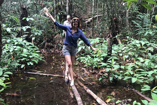 Amazon Jungle Experience with Overnight - Lunch, swimming, and pink river dolphins