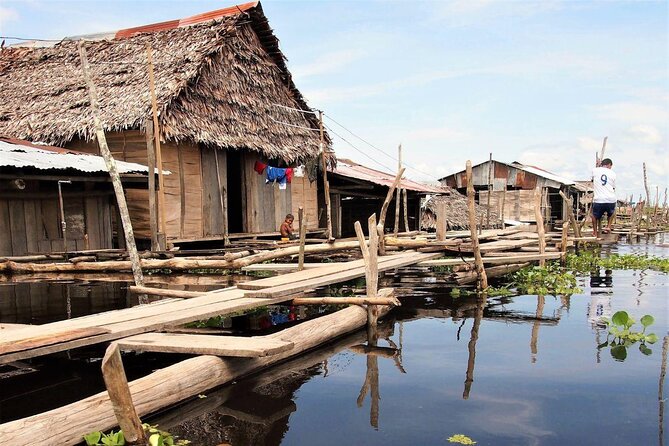 Amazon Negro River Half-Day Expedition Tour - Key points before you book