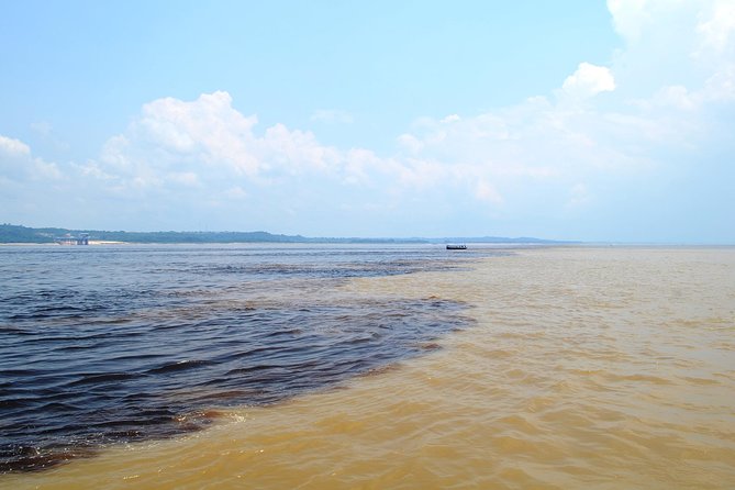 Amazon Negro River Half-Day Expedition Tour - A fast introduction to Manaus and the Amazon