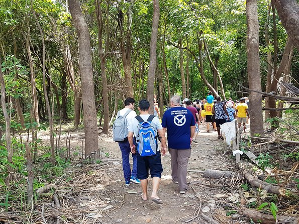 Amazon Negro River Half-Day Expedition Tour - Janauari Ecological Park and the Vitória Régia lilies