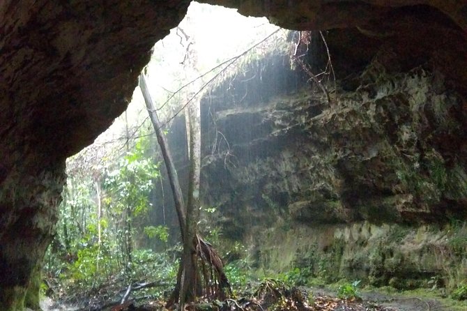 Amazon Rainforest Tour, Trails, Jungle, Caves and Waterfalls - Why the private format matters on an eight-hour day