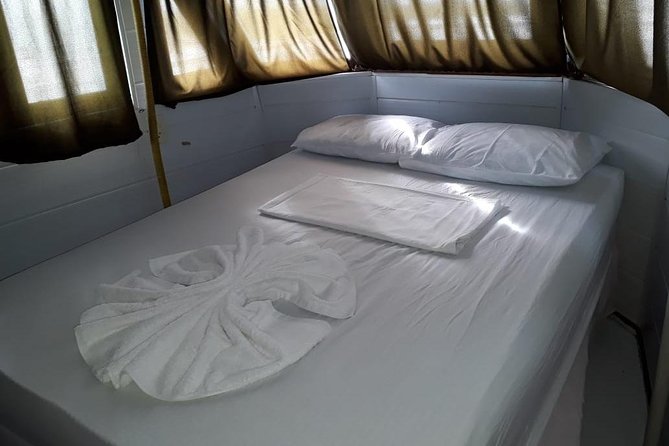 Amazon River Excursion - Orchid Package - 3 days / 2 Nights - Anavilhanas Island and the flooded forest