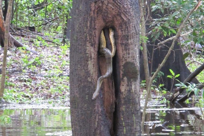 Amazon River Excursion - Orchid Package - 3 days / 2 Nights - Meeting an Indigenous village