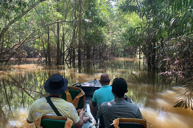 Amazon River Half day Tour - The Meeting of Waters in 40 minutes