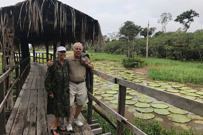 Amazon River Half day Tour - The ride back past Manaus