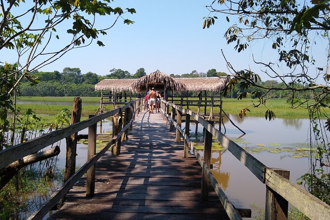 Amazon River Safari Boat Tour- Full Day Group Tour - From Mercado Adolpho Lisboa to the river