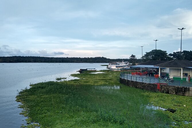 Amazon River Safari Boat Tour- Full Day Group Tour - The Meeting of the Waters