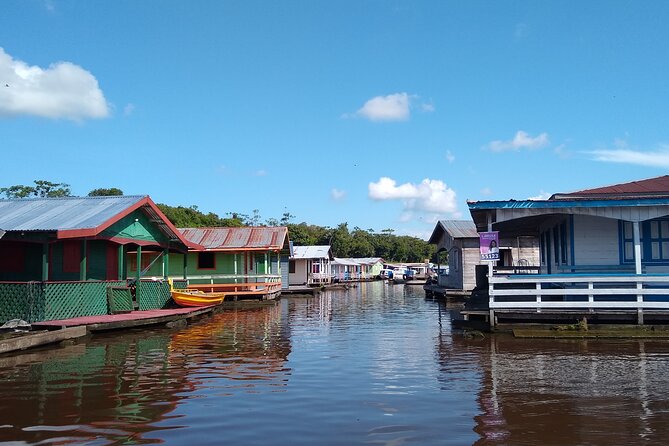Amazon River Safari Boat Tour- Full Day Group Tour - Wooden bridges, giant water lilies, and forest life